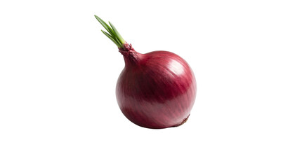 Single Whole Fresh Red Onion with Young Green Sprout isolated PNG with Transparent Background
