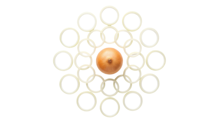 Fresh Whole Brown Onion Surrounded by Sliced White Onion Rings isolated PNG with Transparent Background