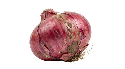 Fresh Whole Red Onion isolated PNG with Transparent Background