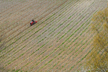 Vineyard row cultivator aerial view, agriculture concept