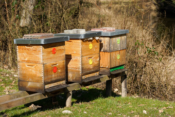 Three wooden beehives in forest, honey production