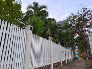 Perspective view of a long white decorative fence along a sidewalk with various palm trees in the background