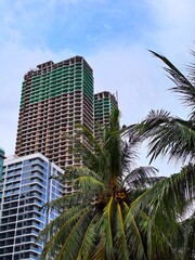 Modern Glass Skyscraper Architecture Viewed Through Green Tree Branches