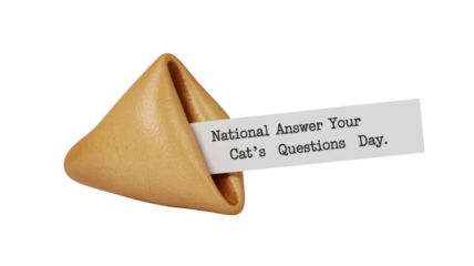 National Answer Your Cat's Questions Day