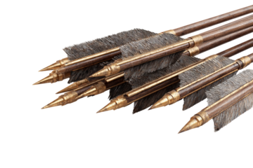 Hunting arrows with metal arrowheads isolated on transparent background