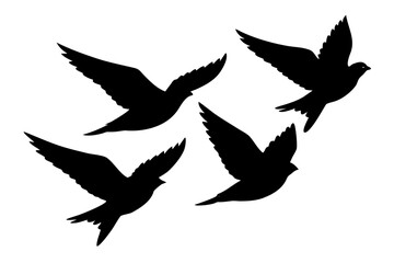 Silhouettes of four birds in flight against a white background Vector,  flying bird black silhouette Set