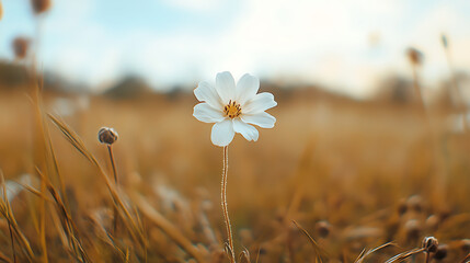 A beautiful floral scene featuring colorful and delicate flowers in a natural setting