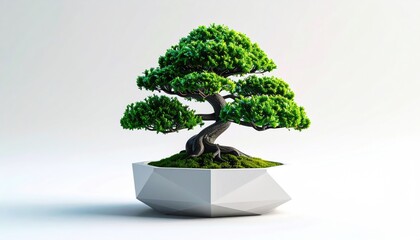 Small, stylized tree in a geometric pot, bright green foliage