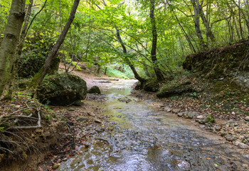 A canyon and a mountain river with a shallow stream and an unusual stone bed in the autumn season