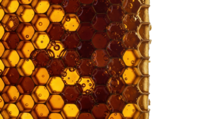 Harvesting honeycomb structure nature food organic sweet isolated on transparent background