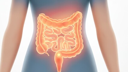 A woman with a glowing large intestine and guide lines showing bowel health and Stool formation flow