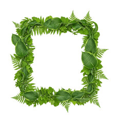 Green leaf frame display nature graphic design isolated on transparent background