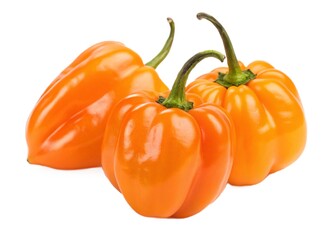 Bright Orange Habanero Peppers Isolated on Transparent or White Background