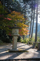 京都府圓光寺秋時のしずく