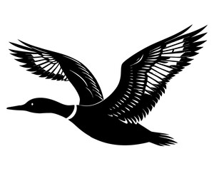 Obraz premium Flying loon bird silhouette vector,loon bird symbol,loon bird graphic