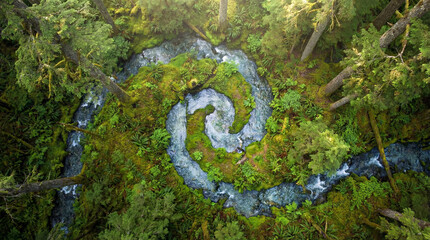 Obraz premium An aerial perspective showcases a stunning spiral formation carved by the river flowing through a lush, verdant forest, highlighting nature's artistry.