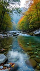 Serene Autumn Forest Stream with Colorful Foliage