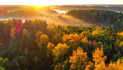 Golden sunrise over colorful forest, misty valley below