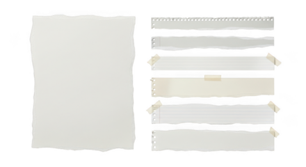 Collection of torn paper scraps isolated on transparent background