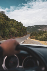 POV driving view through pine forest road on a sunny day