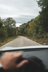 POV driving view through pine forest road on a sunny day