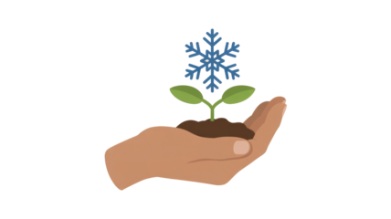 Hand holding a snowflake plant