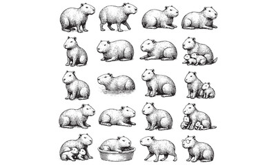 Obraz premium Vintage Guinea Pig and Hamster Illustration Set Cute Rodents Family