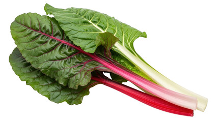 Fresh Swiss Chard with Red and White Stems on Black Background rainbow chard leafy greens