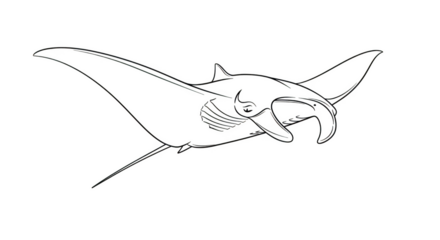 White outline of a manta ray swimming on a black background stingray ocean