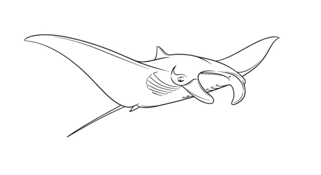 White outline of a manta ray swimming on a black background stingray ocean - Powered by Adobe