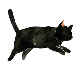Obraz premium ジャンプしている黒猫 ペット・動物の手描き水彩イラスト素材