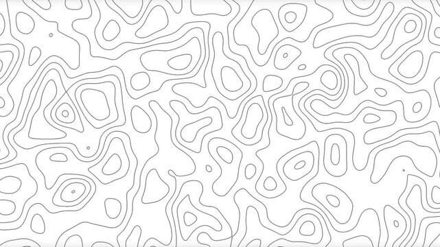 Abstract White Topographic Map Background with Minimalist Black Contour Lines and Fluid Organic Shapes