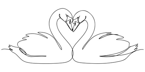 Continuous one line of a two swans forming a heart shape with their necks, symbolizing loyal love, hand drawn vector illustration. © Haus
