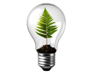 Classic Glass Lightbulb with Small Green Plant, Front View, Transparent PNG.