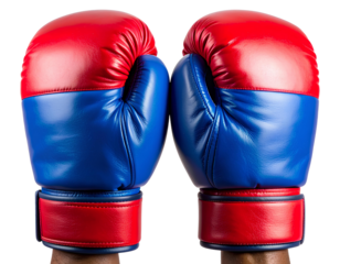 Boxing Gloves on Hands in Fighting Stance, Front View, Transparent PNG.
