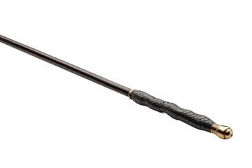 Modern riding crop isolated on transparent background