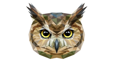 Low poly geometric owl face with yellow eyes on black background bird animal