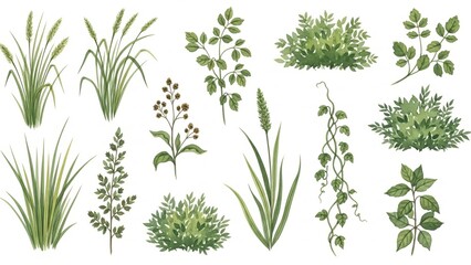 Fototapeta premium Collection of various lush green plants and foliage displayed on a white background