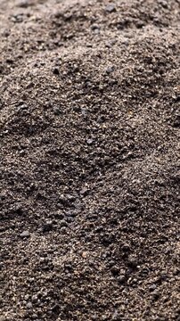 Ground black cumin seeds. Organic herbal medicine, healthy food ingredient. Extreme close-up, vertical video