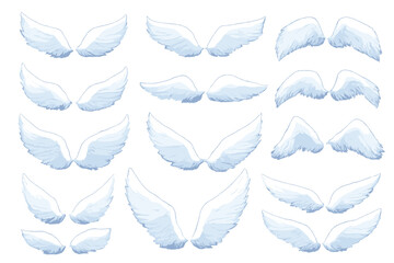 Obraz premium Collection of ethereal white angel wings on a blurred background