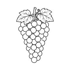 Grape Bunch Line Art Illustration
