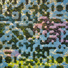 Spring floral beauty and tranquility