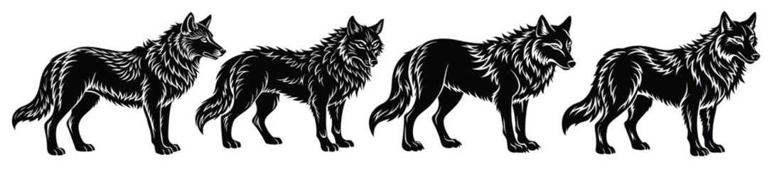 Obraz premium set of wolf animal silhouette on white background
