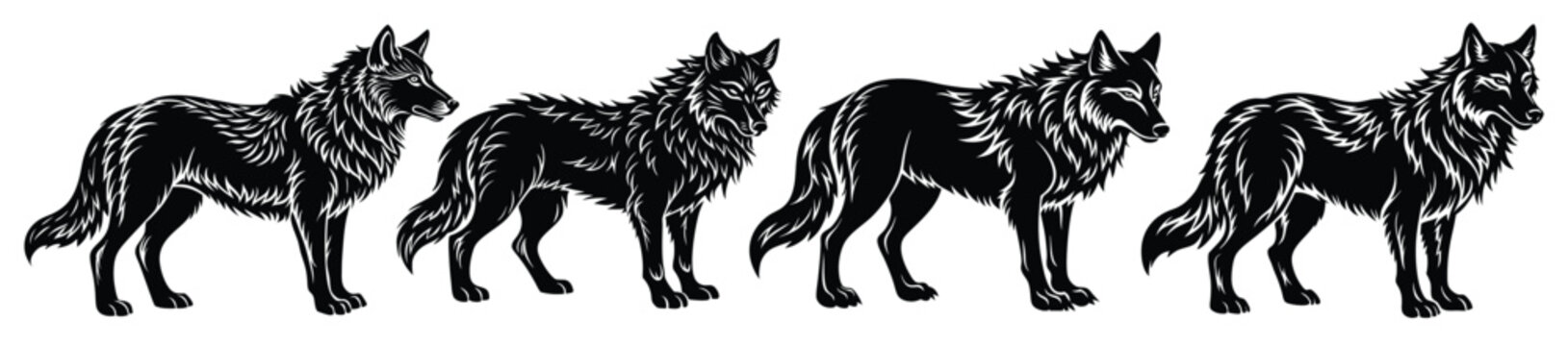 set of wolf animal silhouette on white background