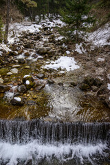 A clear mountain stream cascades over rocks, forming a small waterfall in a snowy winter forest. The water flows through a pristine natural woodland environment in Bansko, Bulgaria.
