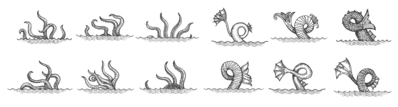  sketch octopus tentacles monster kraken tail palps