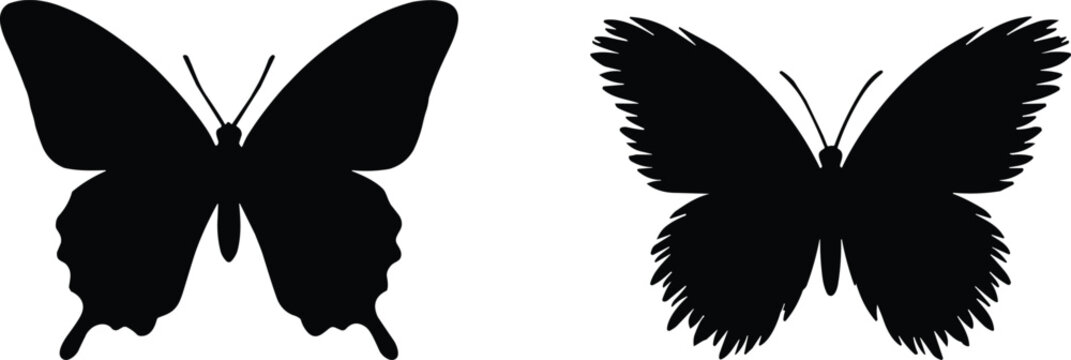 Butterfly silhouette collection, detailed black winged insects, symmetrical flying shapes, nature inspired animal icons, minimalist vector illustration set