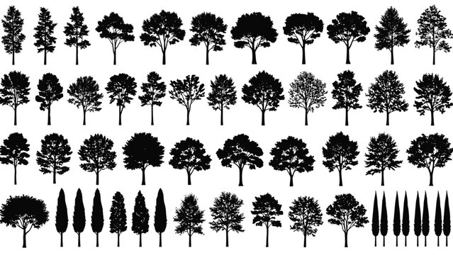 Large set of black tree silhouettes & different garden plant shapes collection of forest deciduous and coniferous trees isolated on white