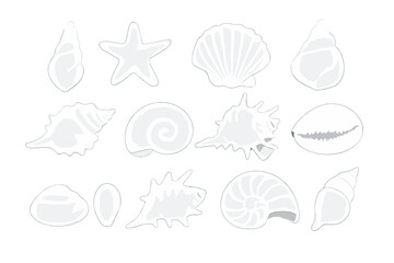 Collection of White Seashells and Starfish on Gray Background © icon_art