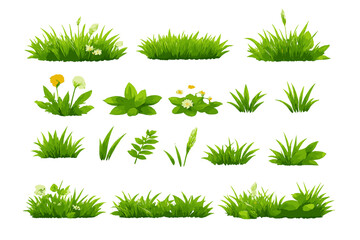 Vibrant Green Grass and Wildflowers © icon_art